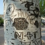 Graffiti sur arbre