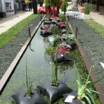 Jardins Jardin 2011, Jardin des Tuileries, Paris 1er (75), 26 mai 2011, photo Alain Delavie